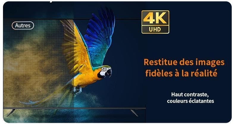 https://ci.jumia.is/cms/external/pet/LP787EA19EOS7NAFAMZ/b1be7b26c002ffe783606eaaf5d78035.jpg